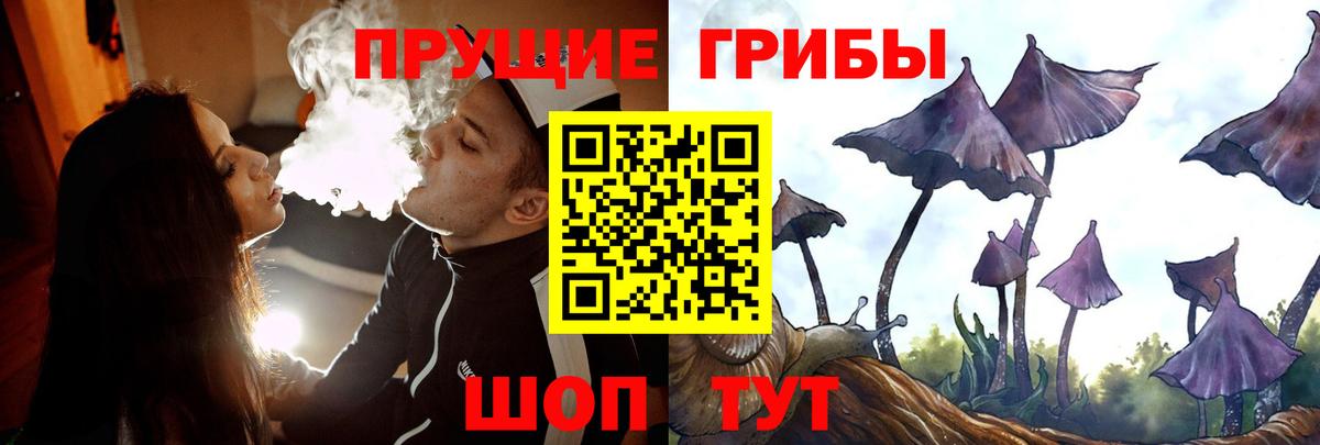 Галлюциногенные грибы мухоморы Иркутск